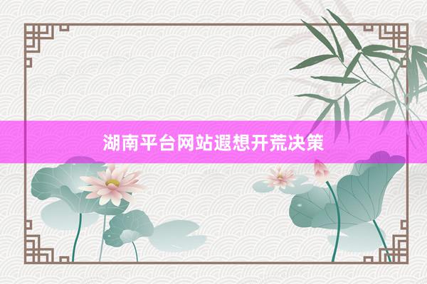 湖南平台网站遐想开荒决策