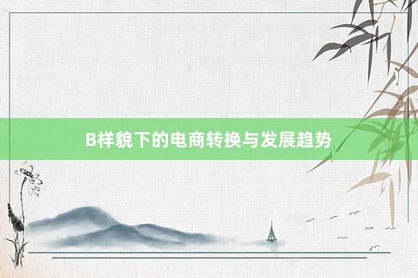 B样貌下的电商转换与发展趋势
