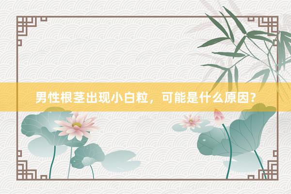 男性根茎出现小白粒，可能是什么原因？