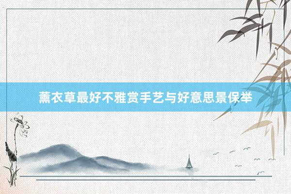 薰衣草最好不雅赏手艺与好意思景保举