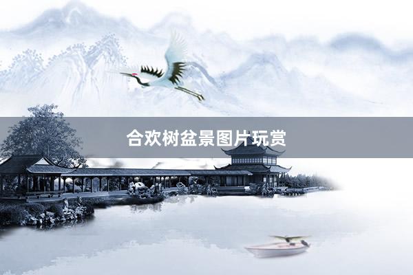 合欢树盆景图片玩赏