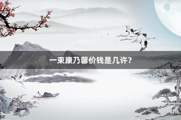 一束康乃馨价钱是几许？