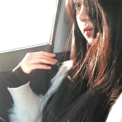 喵星少年漂流记